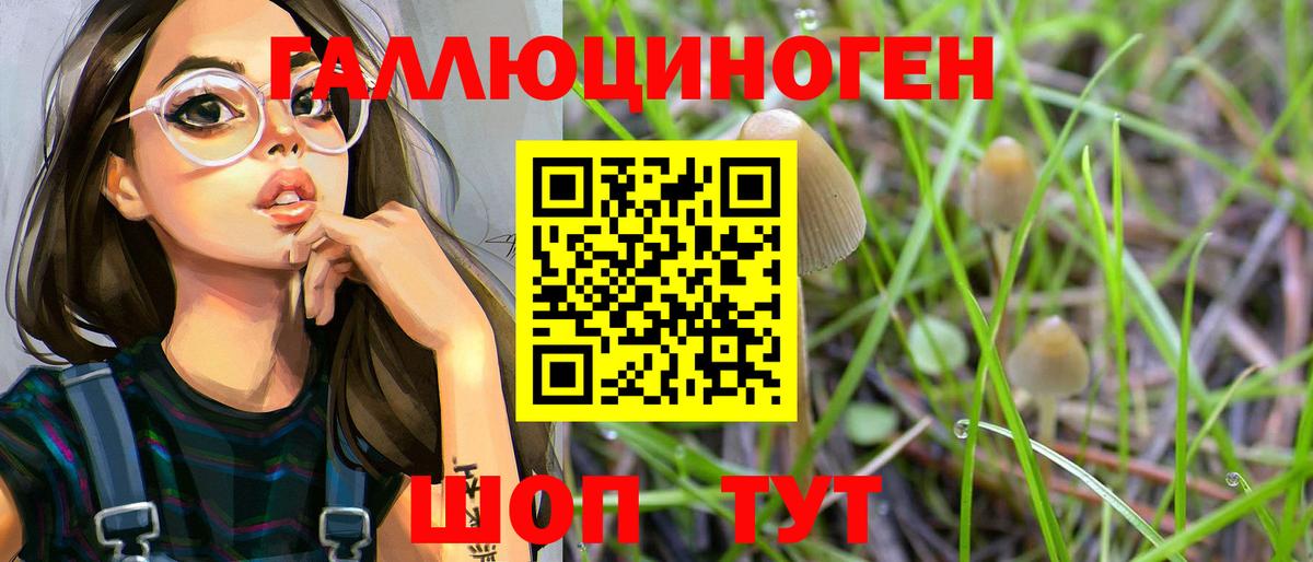 Псилоцибиновые грибы Psilocybe Димитровград